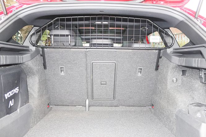 Main Image Skoda Enyaq iV dog guard 