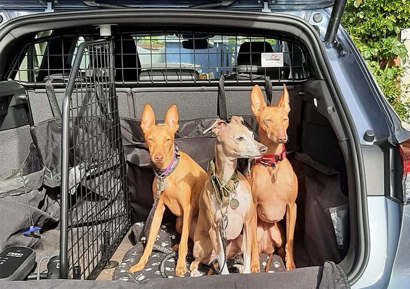 Audi Q4 e-tron hunde- /bagasjegitter - med og uten skillevegg