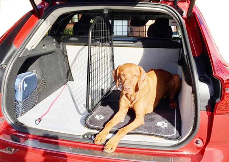 Volvo XC60 hunde-/bagasjegitter - med og uten skillevegg