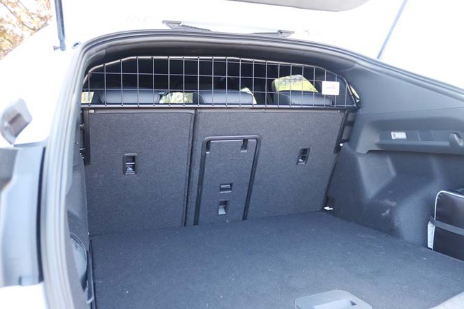 Main Image Dog/luggage divider Ford Capri EV