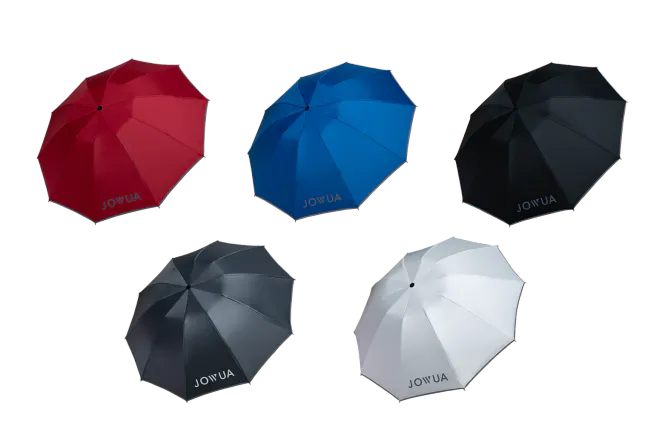 Main Image Jowua color matching umbrella Tesla Model S-3-X-Y