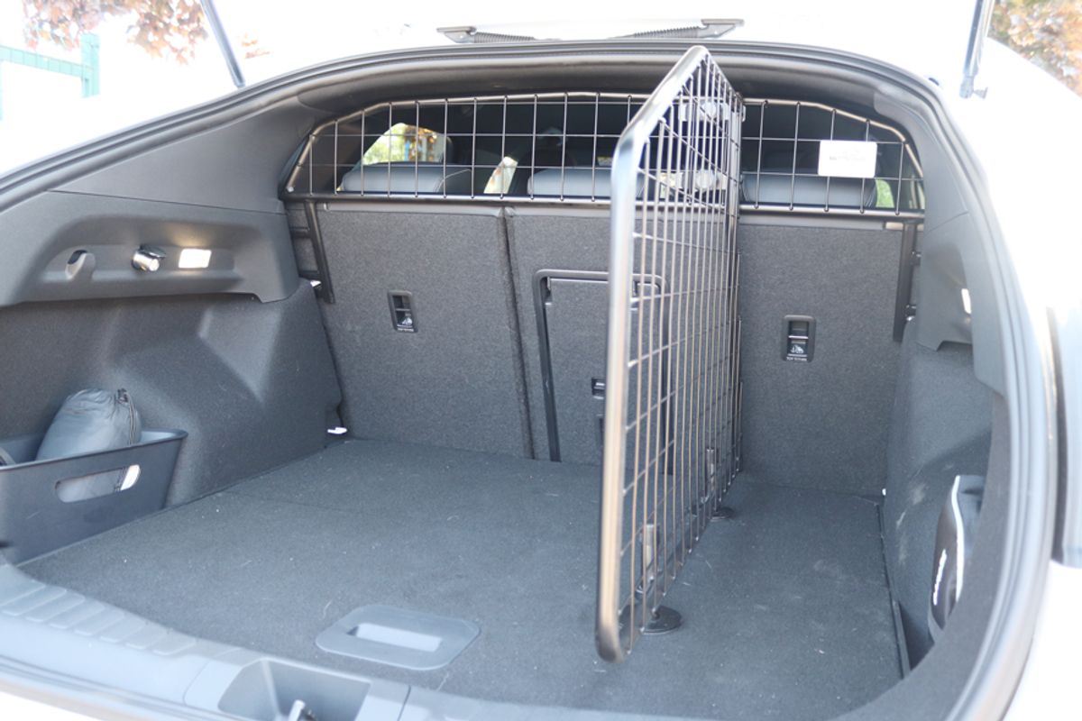 Dog guard and divider - Ford Capri EV